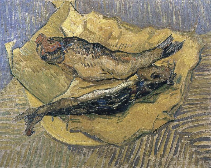 Vincent Van Gogh herrings